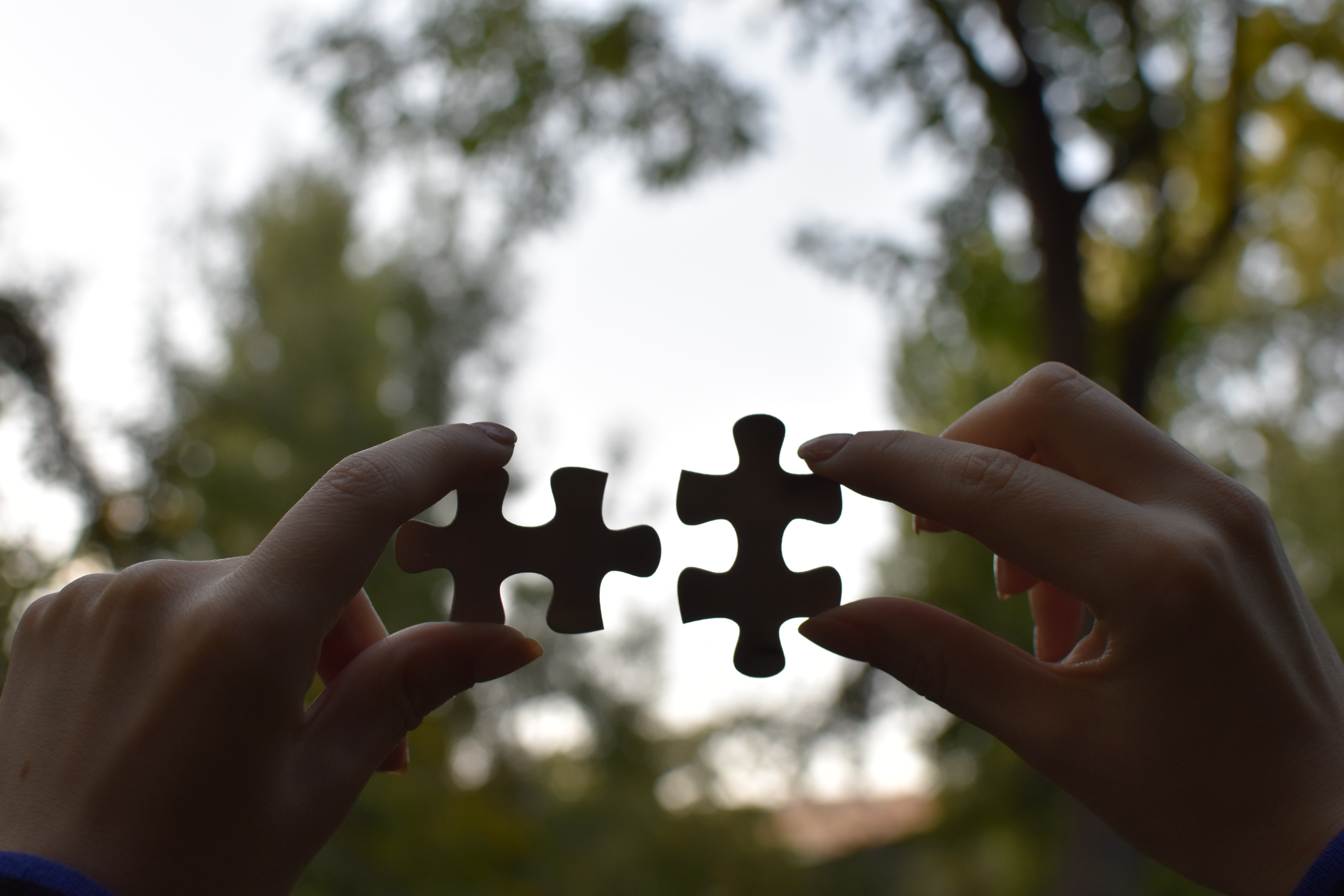 Two people placing jigsaw pieces together